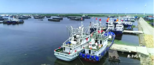 集團(tuán)全力助推南通外向型農(nóng)業(yè)綜合開發(fā)區(qū)委托招商引資，打造現(xiàn)代化專業(yè)食品園區(qū)