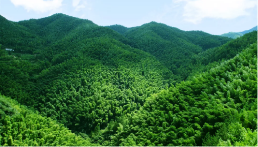 集團(tuán)全力助推安徽六安霍山縣委托招商引資，著力打造支柱型特色產(chǎn)業(yè)高質(zhì)發(fā)展