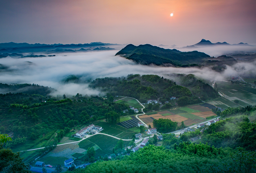 集團(tuán)全力助推安徽六安霍山縣委托招商引資，著力打造支柱型特色產(chǎn)業(yè)高質(zhì)發(fā)展