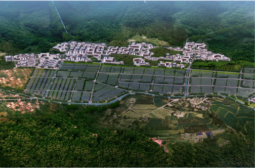 集團(tuán)全力助推福建寧德周寧縣委托招商引資，強(qiáng)化特色產(chǎn)業(yè)實(shí)力，為全縣高質(zhì)量發(fā)展增添新動(dòng)力