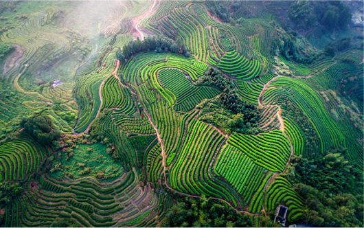 集團(tuán)全力助推福建寧德周寧縣委托招商引資，強(qiáng)化特色產(chǎn)業(yè)實(shí)力，為全縣高質(zhì)量發(fā)展增添新動(dòng)力