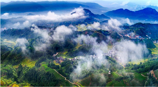 集團(tuán)全力助推福建寧德周寧縣委托招商引資，強(qiáng)化特色產(chǎn)業(yè)實(shí)力，為全縣高質(zhì)量發(fā)展增添新動(dòng)力