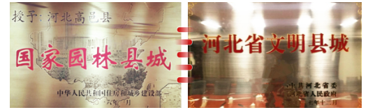 東方龍商務(wù)集團助力河北高邑縣委托招商引資，以“新經(jīng)濟”撬動“新引擎”
